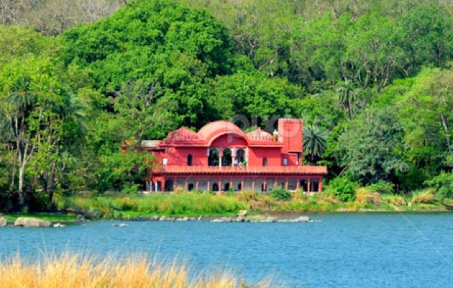 Jogi-Mahal-Ranthambore-safari-booking