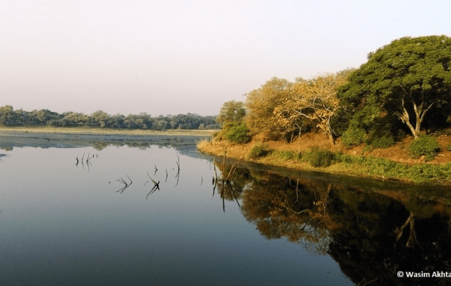 malik-talao-ranthambore