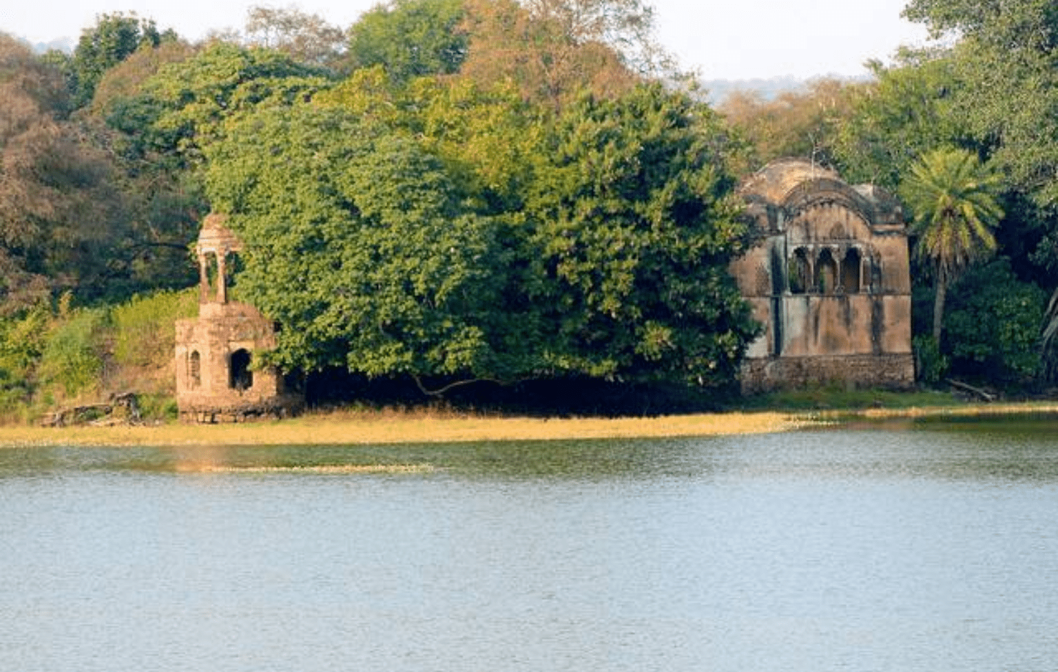 padam-talao-ranthambore