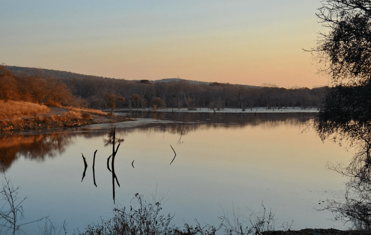 surwal-lake-ranthambore