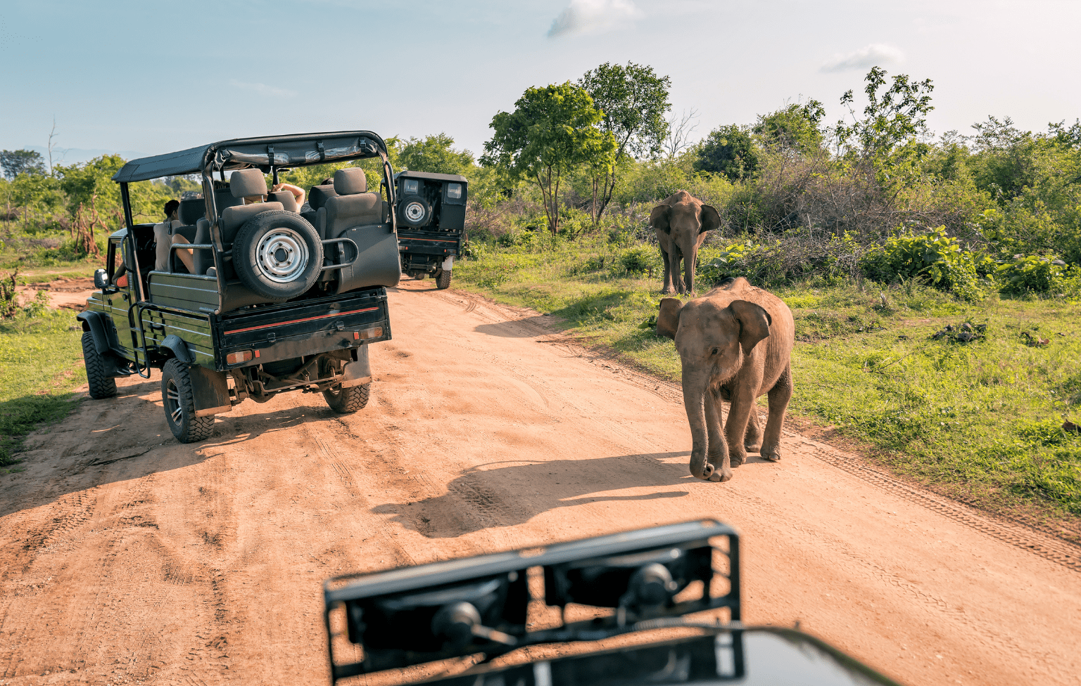 Ranthambore-Gypsy-Safari-booking