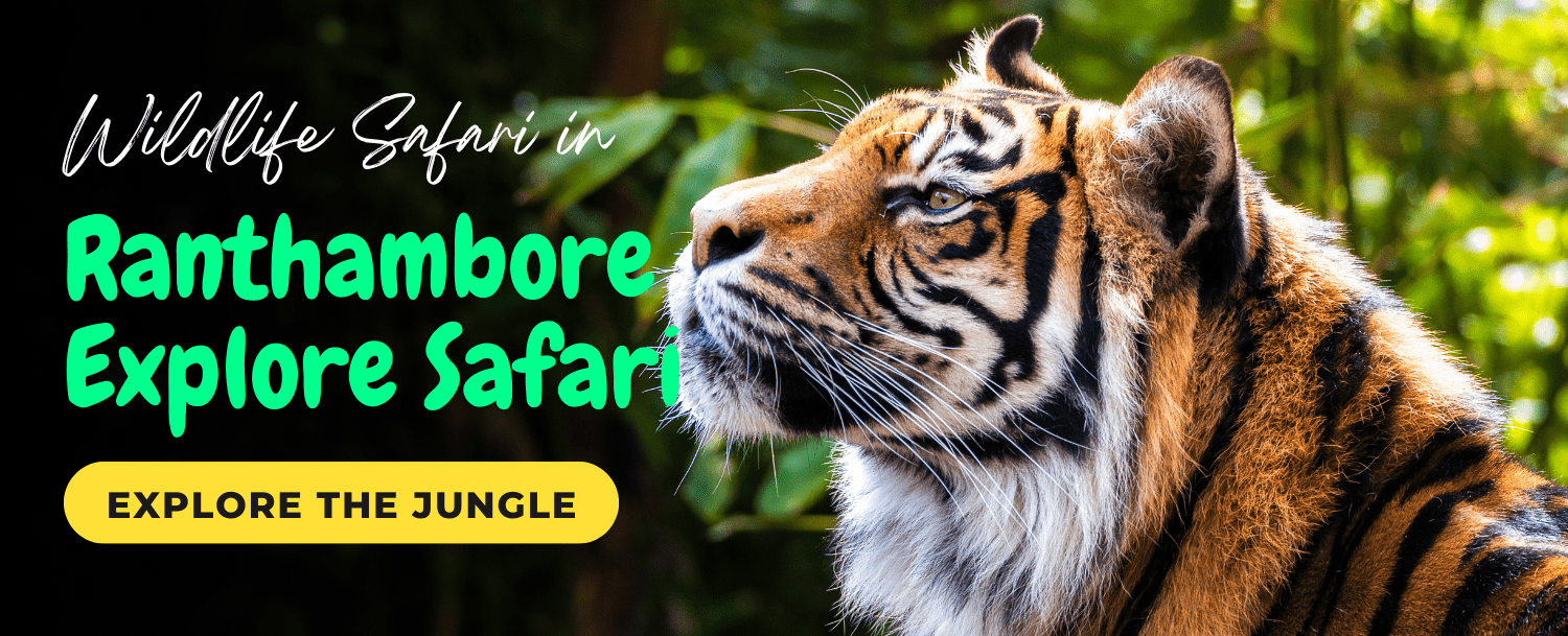 Ranthambore-Booking-safari